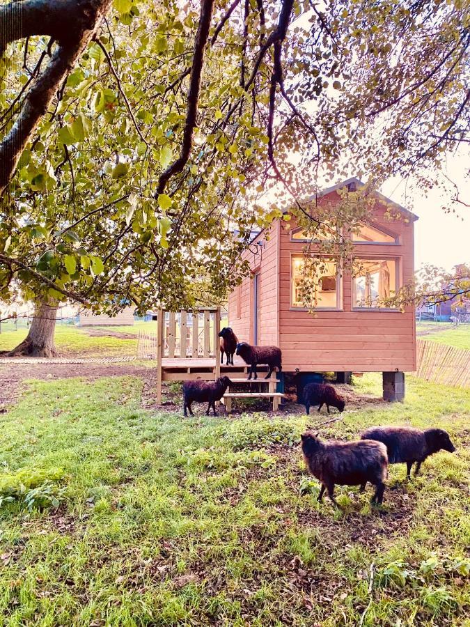绍莱Jolie Tiny House Sous Les Grands Arbres别墅 外观 照片