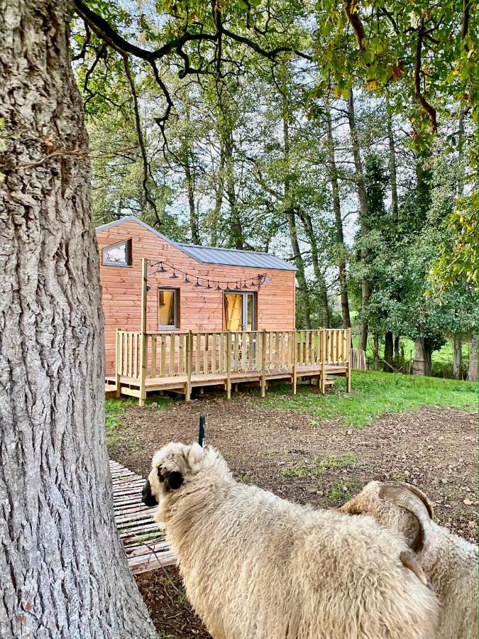 绍莱Jolie Tiny House Sous Les Grands Arbres别墅 外观 照片