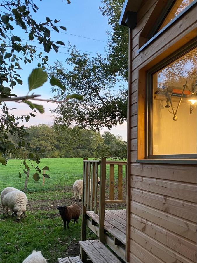 绍莱Jolie Tiny House Sous Les Grands Arbres别墅 外观 照片