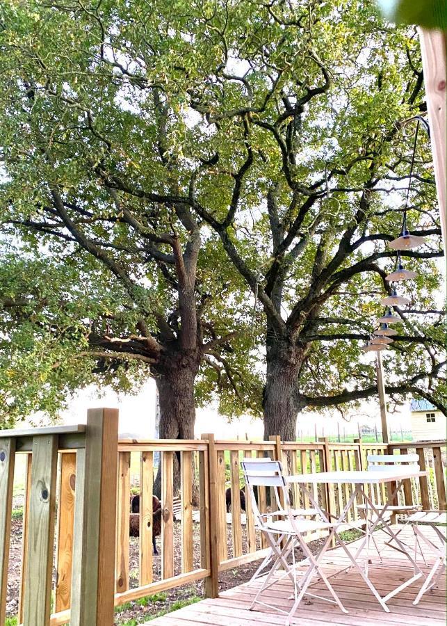 绍莱Jolie Tiny House Sous Les Grands Arbres别墅 外观 照片